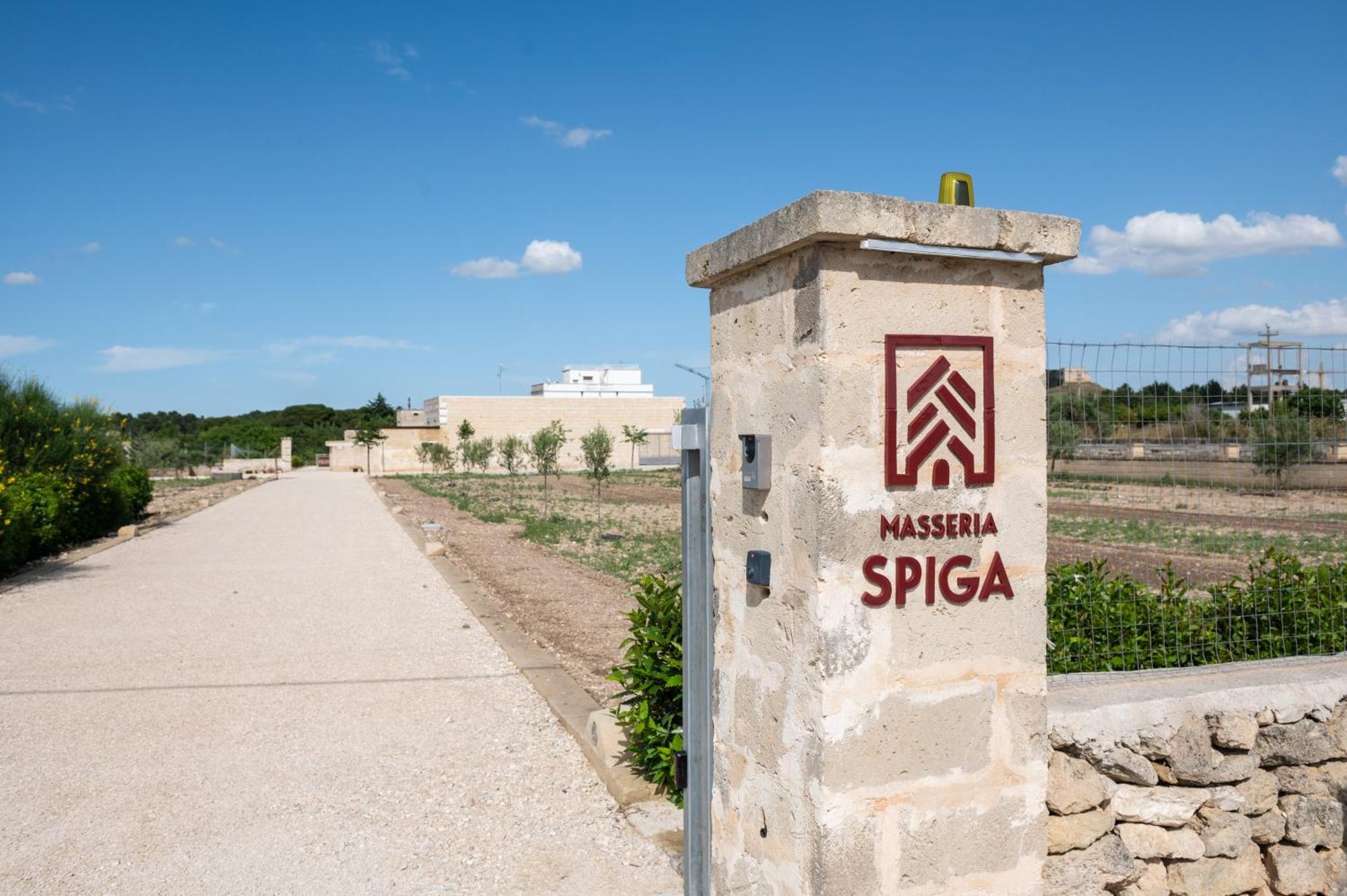 Masseria Spiga Gravina in Puglia Eksteriør bilde