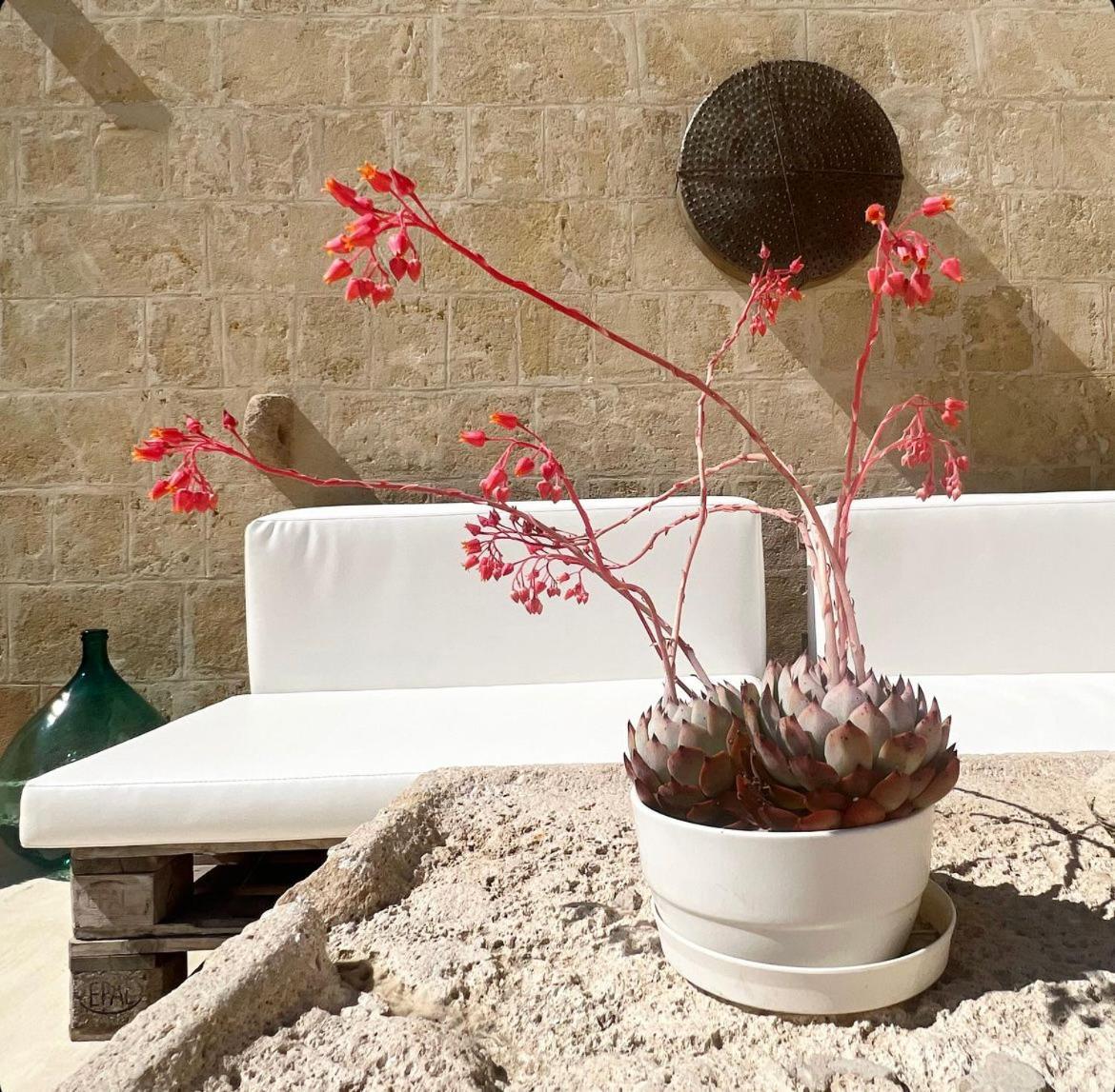 Masseria Spiga Gravina in Puglia Eksteriør bilde