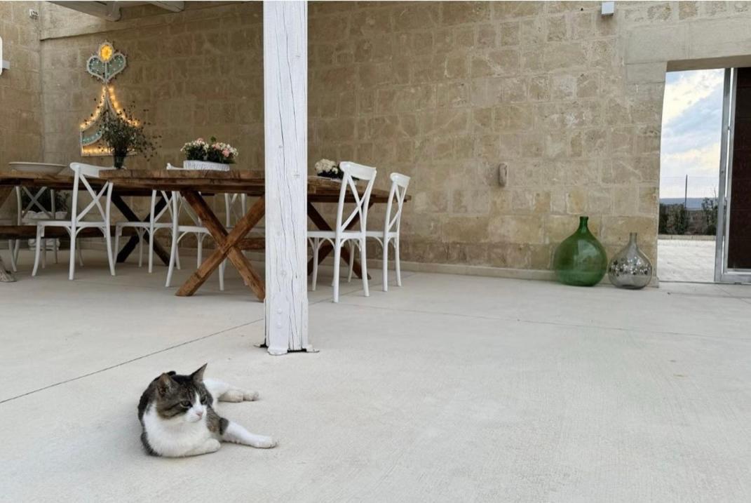 Masseria Spiga Gravina in Puglia Eksteriør bilde